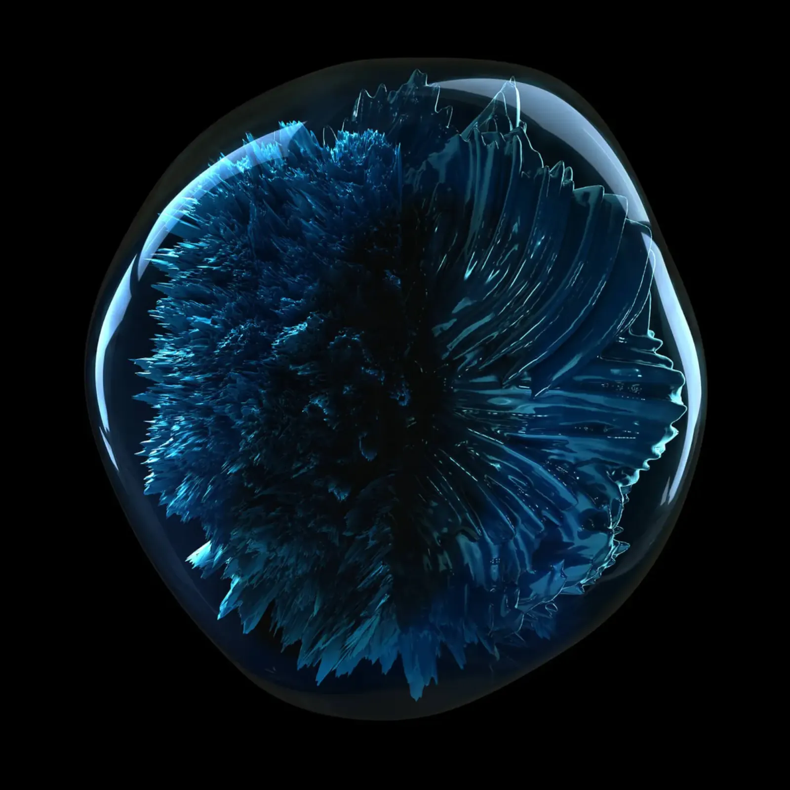 Loreal Professionnel Scalp Advanced Anti-dandruff Dermo-clarifier Shampoo 300ml 10.1fl.oz 6 Loreal Professionnel Scalp Advanced Anti-dandruff Dermo-clarifier Shampoo 300ml 10.1fl.oz - Image 4